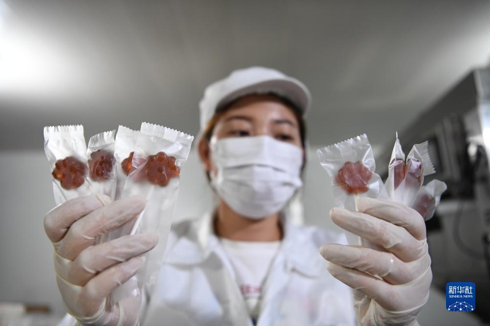腾达娱乐